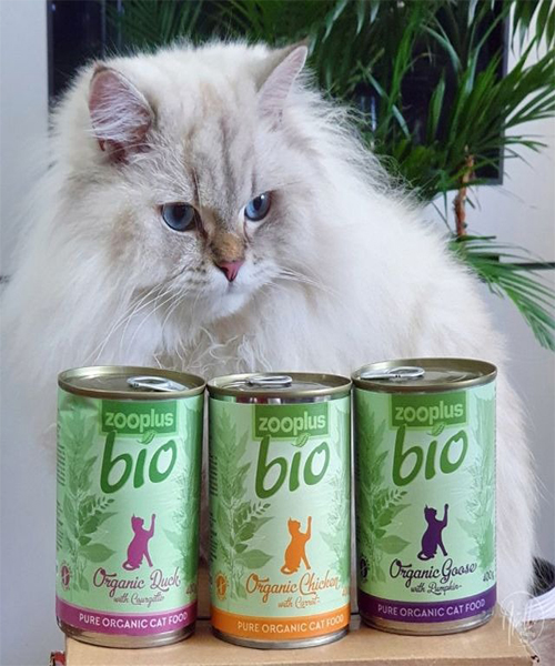 2. Treats and Snacks