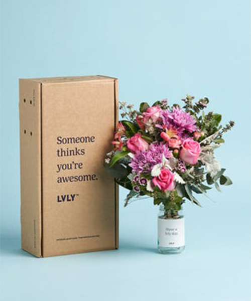 5. Create an LVLY Package