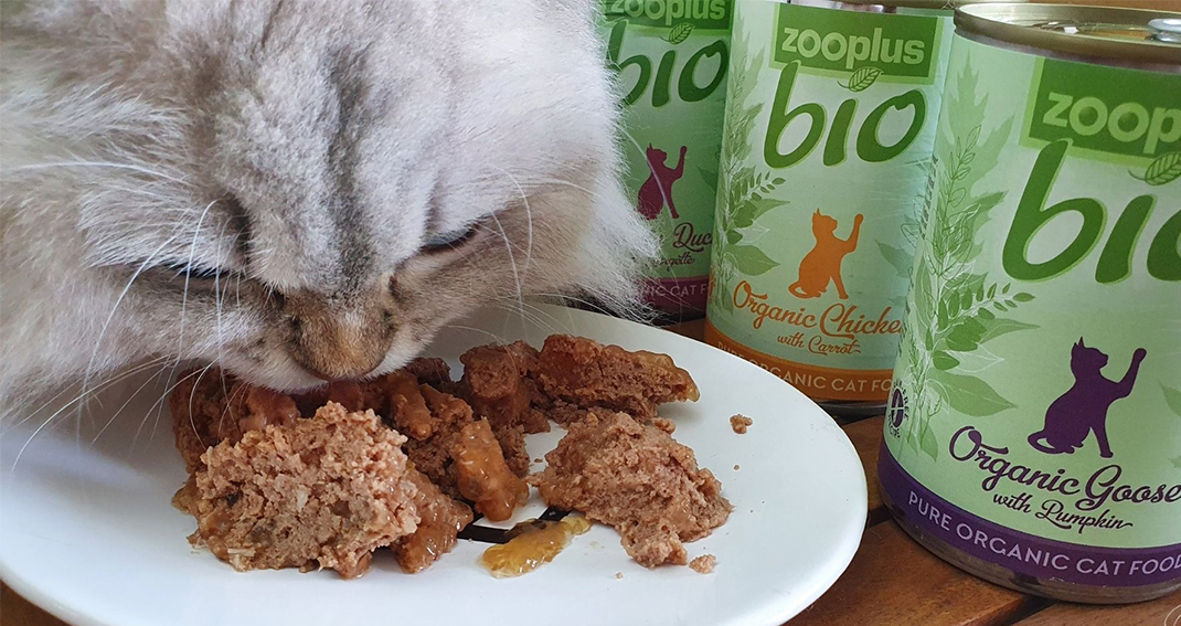 Test report Zooplus Bio wet cat food