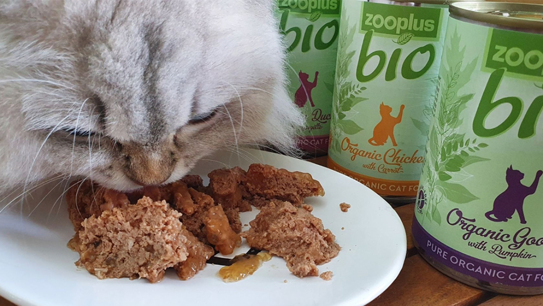 Test report Zooplus Bio wet cat food