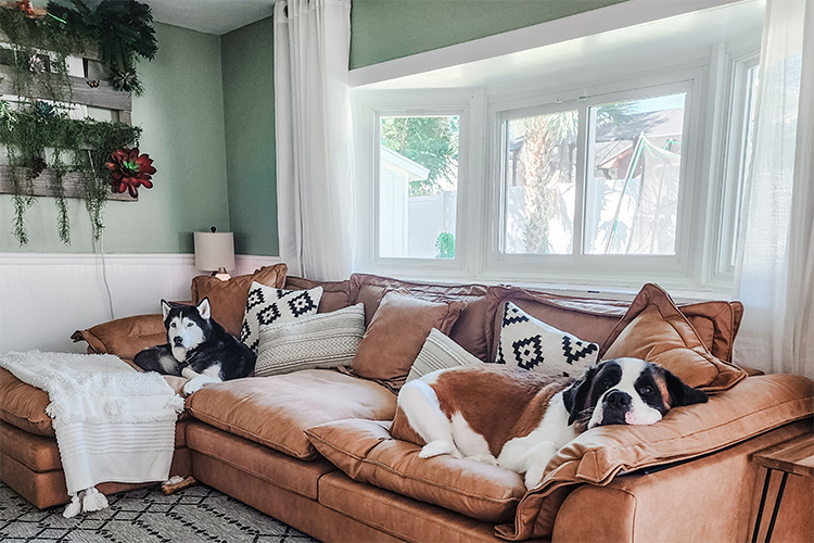 25Home Review: Redefining Modern Furniture – With Style, Comfort, and Affordability