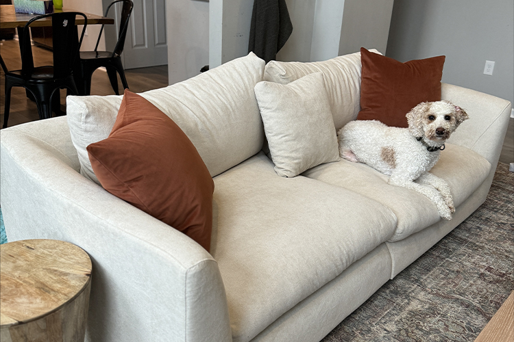 25Home Review: Redefining Modern Furniture – With Style, Comfort, and Affordability